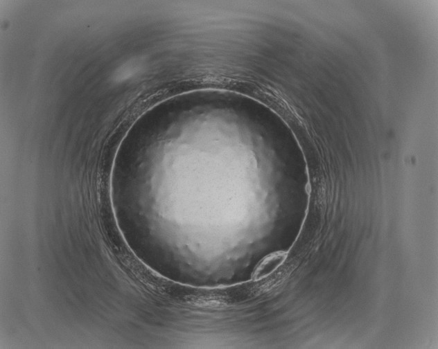 X0000083020643200702161617