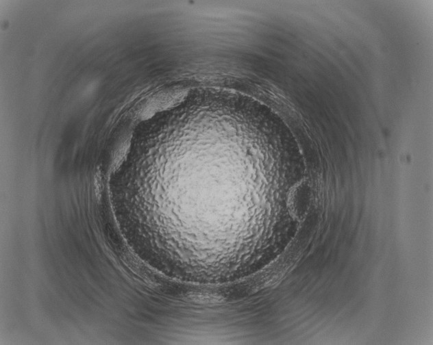 X0000083020644200702161617