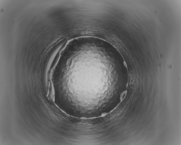 X0000083020648200702161617