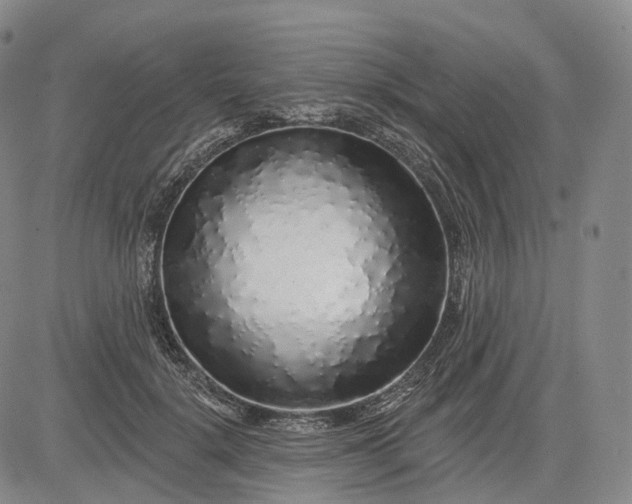 X0000083020652200702161617