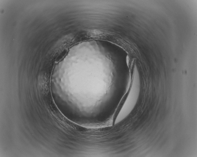 X0000083020653200702161617