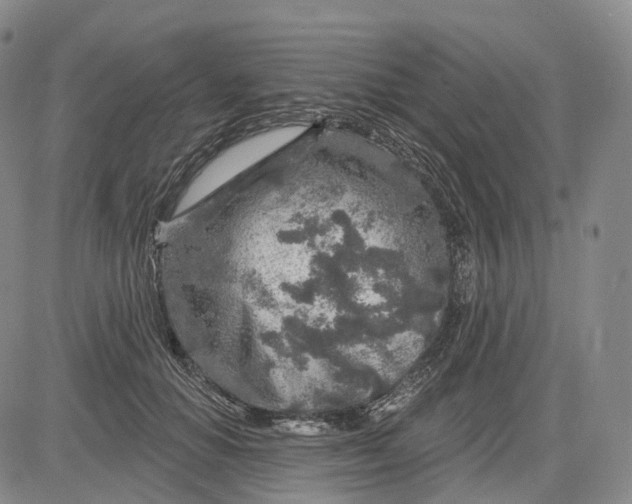 X0000083020654200702161617
