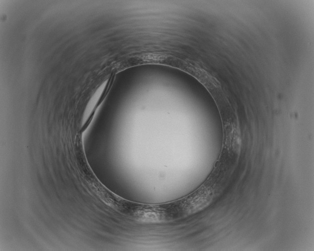 X0000083020655200702161617