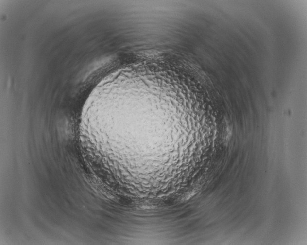 X0000083020658200702161617