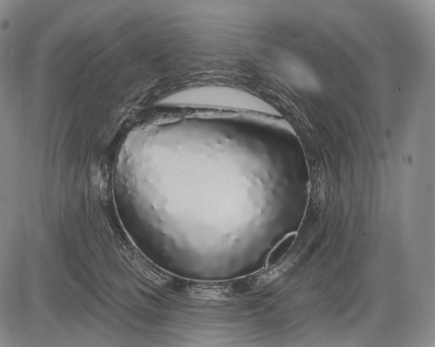 X0000083020661200702161617