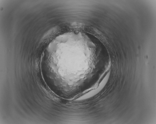 X0000083020662200702161617