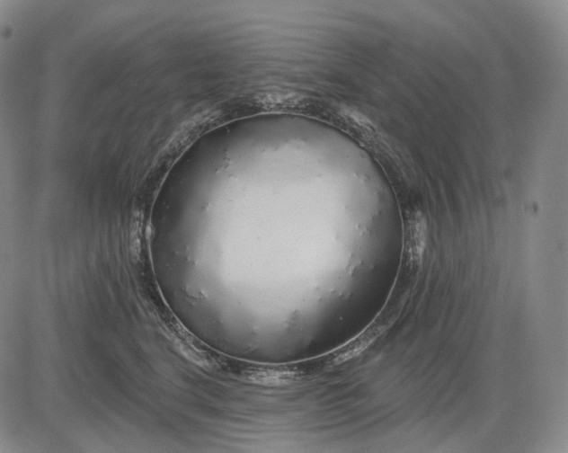 X0000083020664200702161618