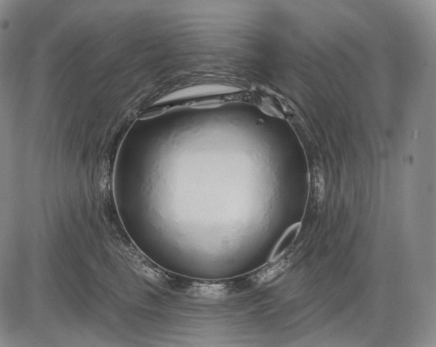 X0000083020665200702161618