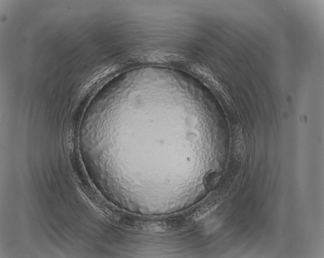 X0000083020683200702161617