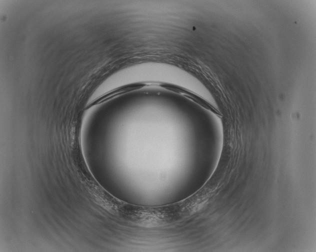 X0000083020697200702161616