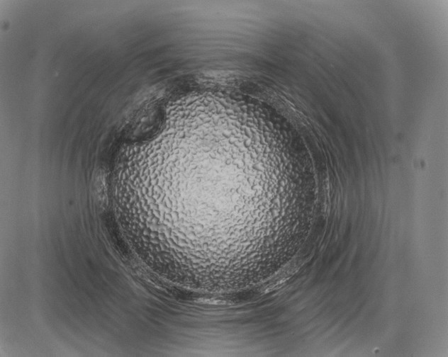 X0000083020699200702161616