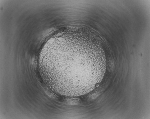 X0000083020707200702161616