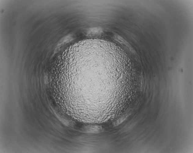 X0000083020711200702161616