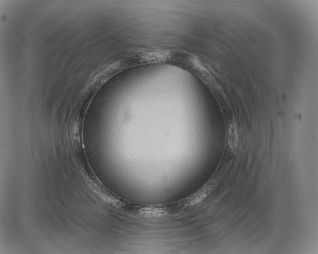 X0000083020714200702161616