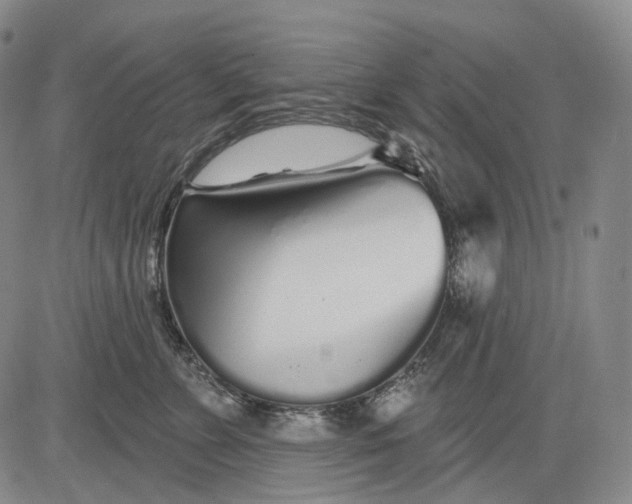 X0000083020715200702161616