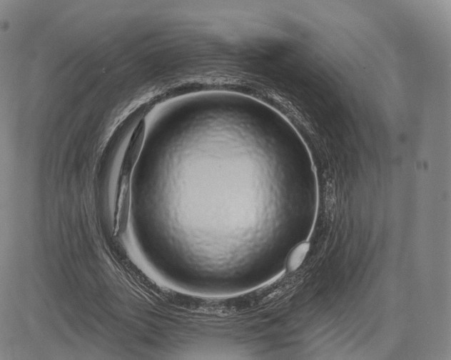 X0000083020727200702161615