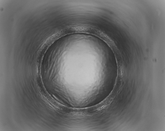 X0000083020733200702161616