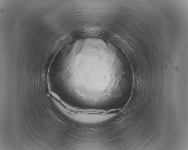 X0000083020745200702161616
