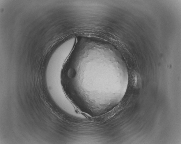 X0000083020746200702161616