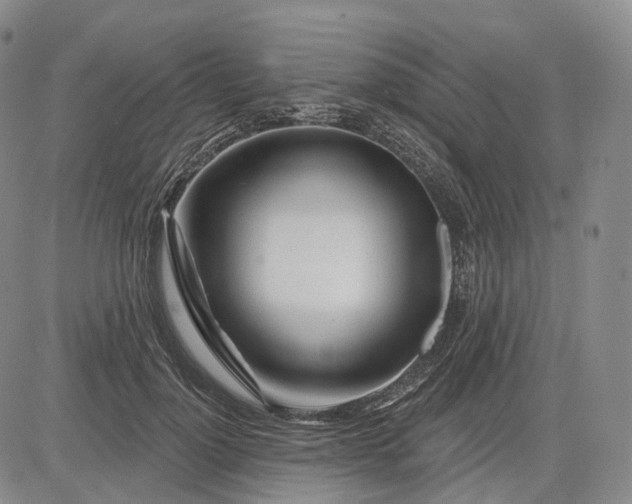 X0000083020748200702161616