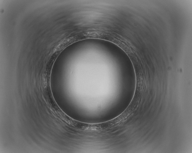 X0000083020751200702161616