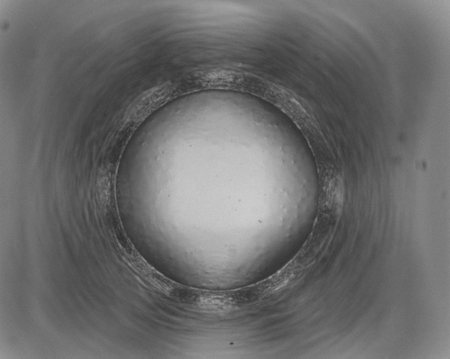 X0000083020753200702161616
