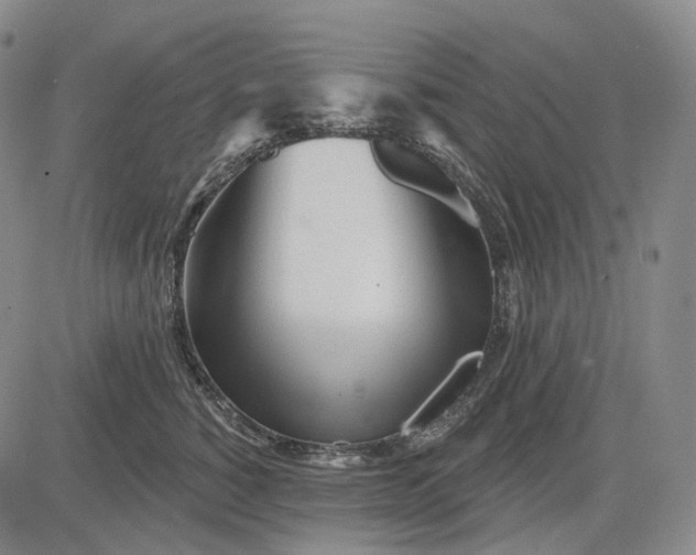 X0000083020760200702161616