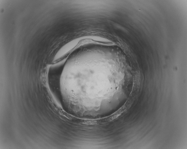 X0000083020761200702161616