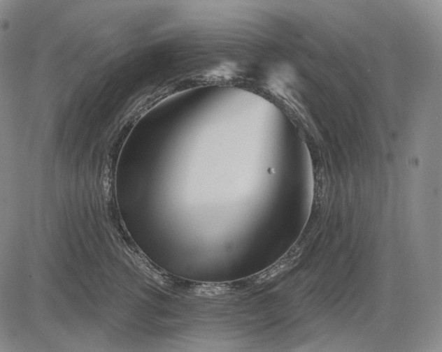 X0000083020762200702161616