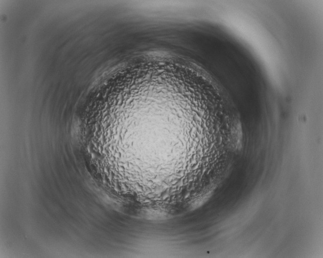 X0000083020765200702161616