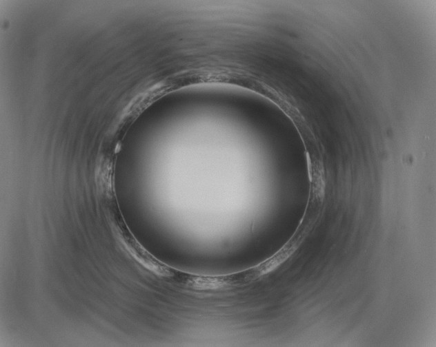 X0000083020766200702161616