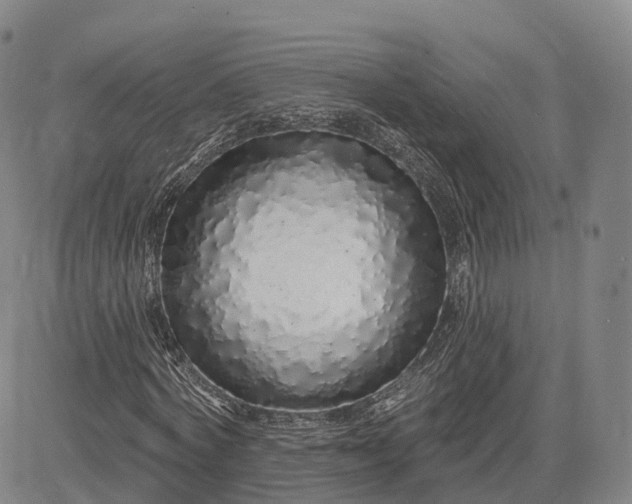 X0000083020772200702161615