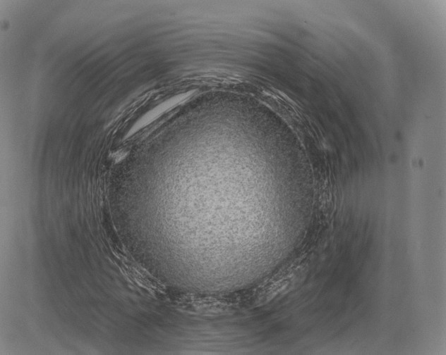 X0000083020774200702161615