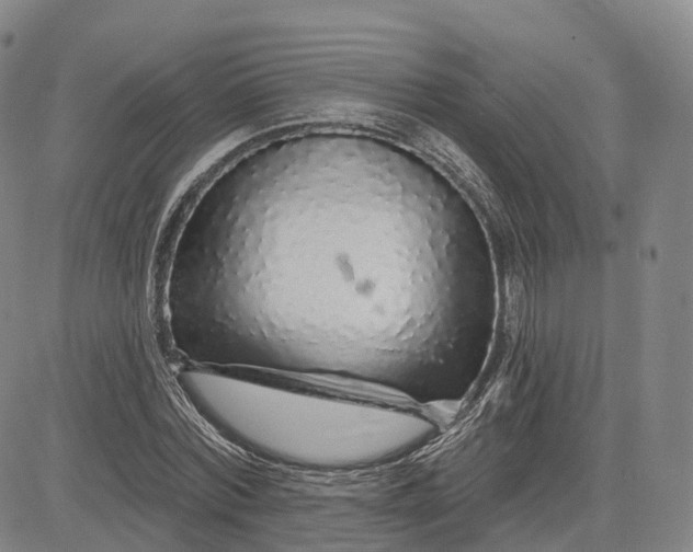 X0000083020780200702161615