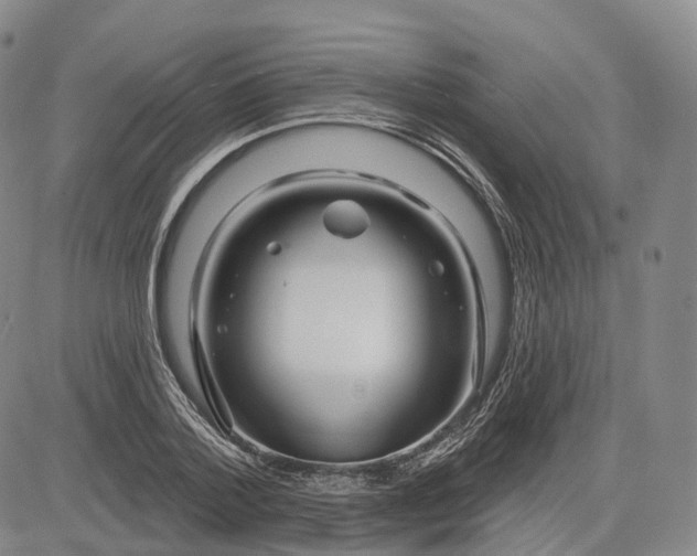 X0000083020788200702161615