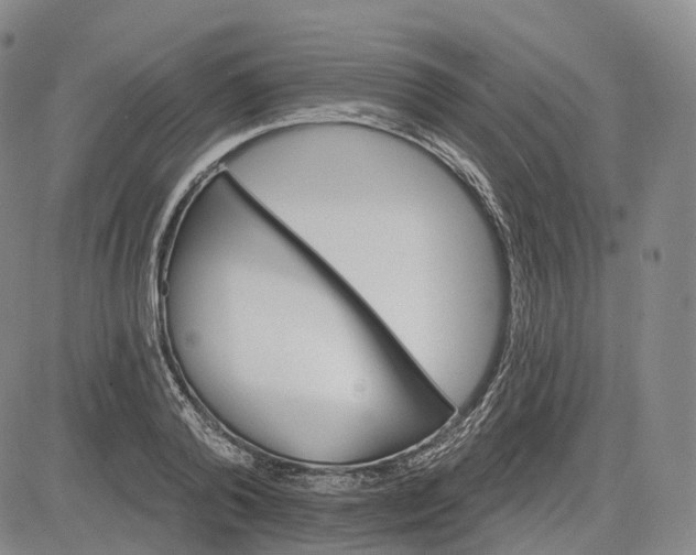 X0000083020792200702161615