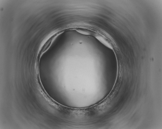 X0000083020796200702161615