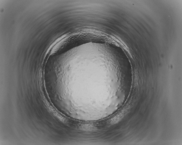 X0000083020798200702161615