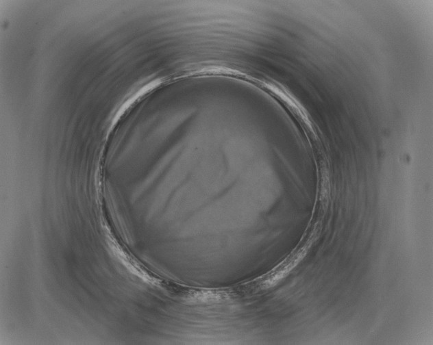 X0000083020806200702161615