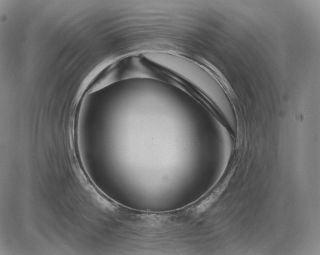 X0000083020812200702161615