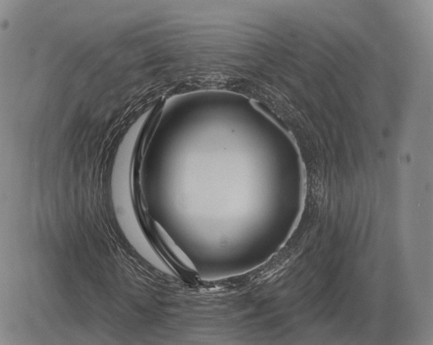 X0000083020818200702161614
