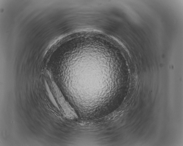 X0000083020823200702161614