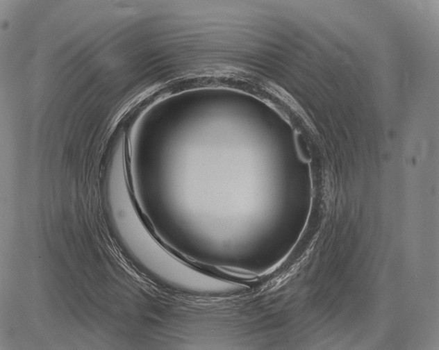 X0000083020826200702161614