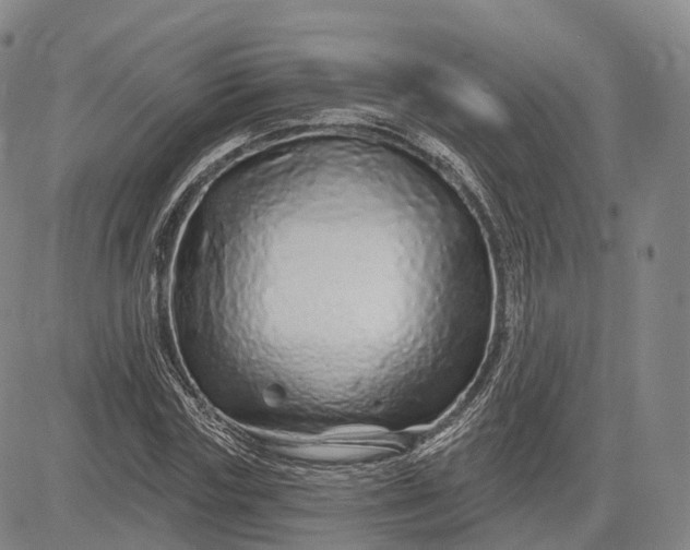 X0000083020827200702161614