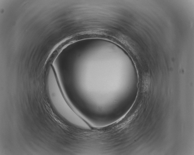 X0000083020830200702161614