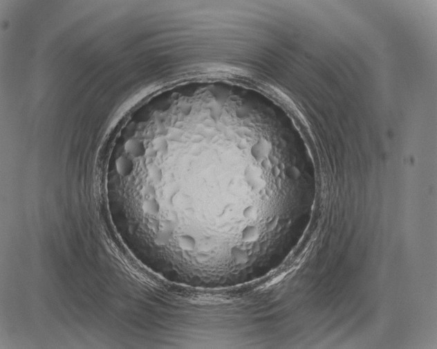 X0000083020835200702161614