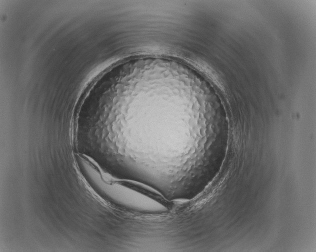 X0000083020839200702161614