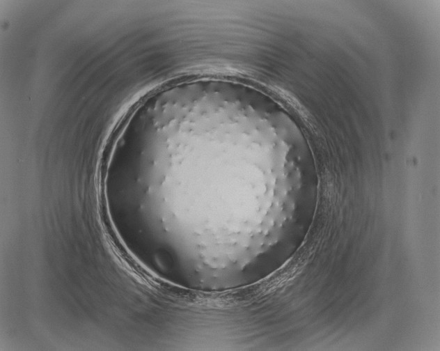 X0000083020840200702161614