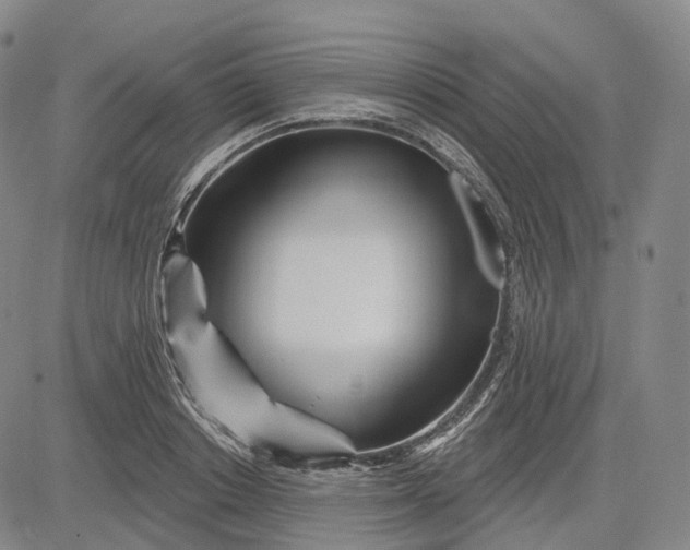 X0000083020842200702161614