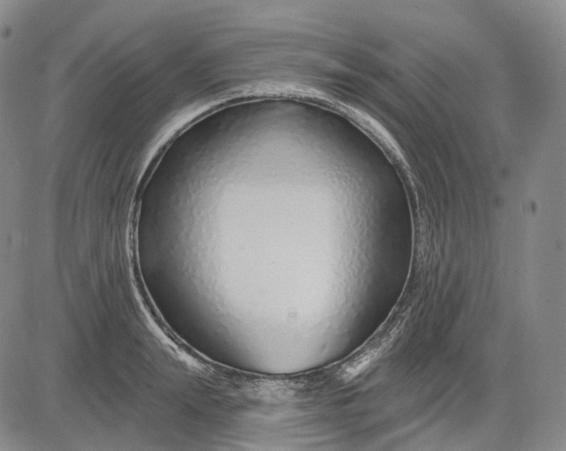 X0000083020847200702161614
